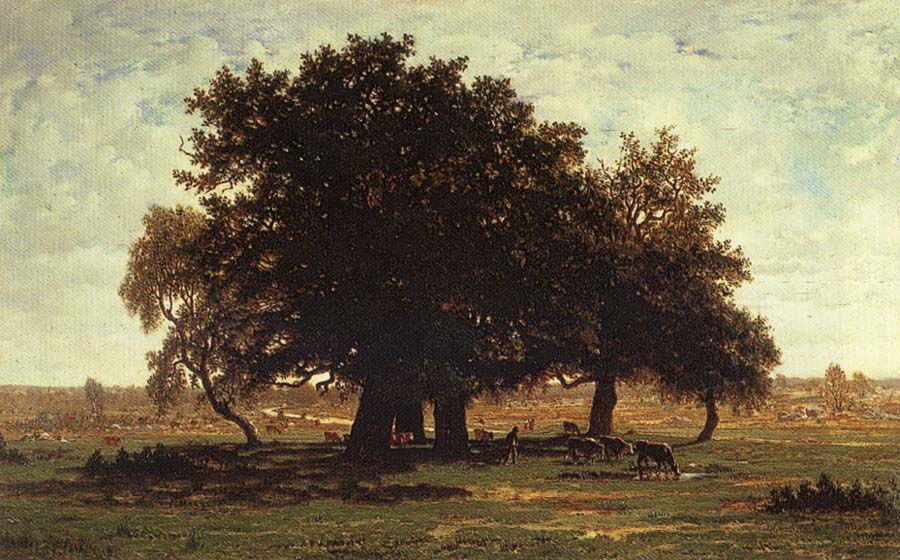 Oak Trees near Apremont